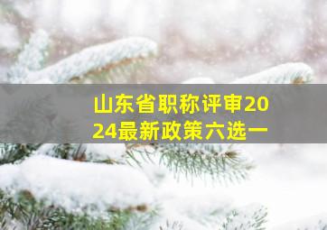 山东省职称评审2024最新政策六选一