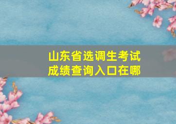 山东省选调生考试成绩查询入口在哪