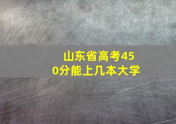 山东省高考450分能上几本大学