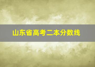 山东省高考二本分数线