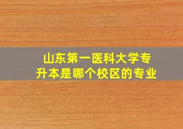 山东第一医科大学专升本是哪个校区的专业