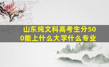 山东纯文科高考生分500能上什么大学什么专业