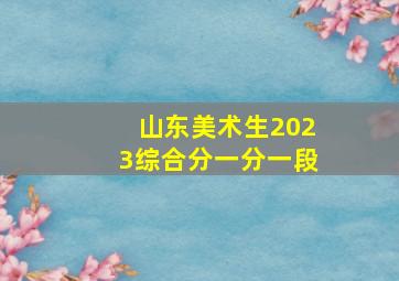 山东美术生2023综合分一分一段