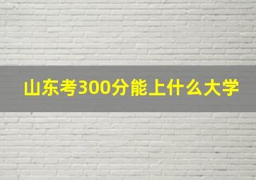 山东考300分能上什么大学