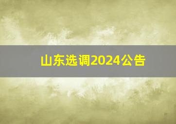 山东选调2024公告