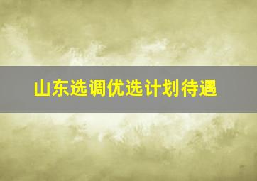 山东选调优选计划待遇