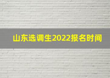 山东选调生2022报名时间