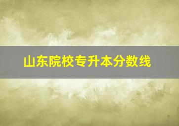 山东院校专升本分数线