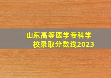 山东高等医学专科学校录取分数线2023