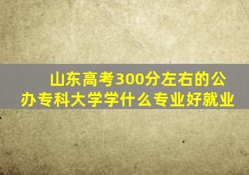 山东高考300分左右的公办专科大学学什么专业好就业