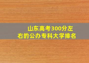 山东高考300分左右的公办专科大学排名