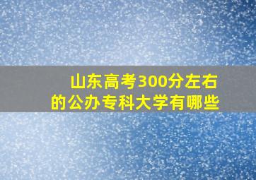 山东高考300分左右的公办专科大学有哪些