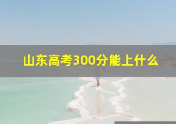 山东高考300分能上什么