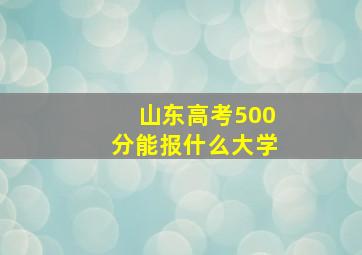 山东高考500分能报什么大学