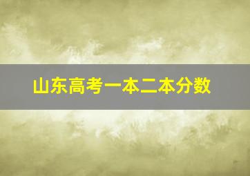 山东高考一本二本分数