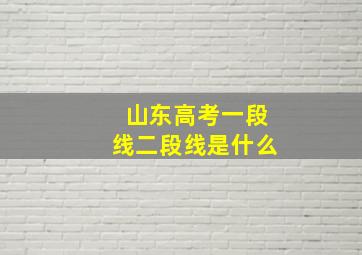 山东高考一段线二段线是什么