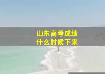 山东高考成绩什么时候下来