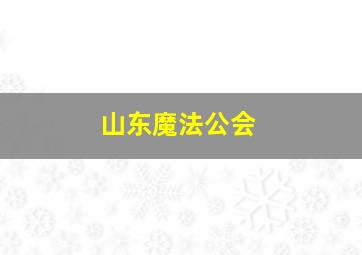 山东魔法公会