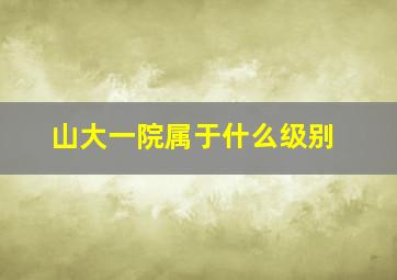 山大一院属于什么级别