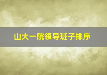 山大一院领导班子排序