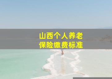 山西个人养老保险缴费标准