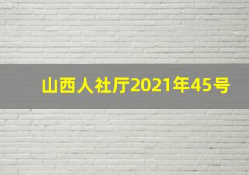 山西人社厅2021年45号