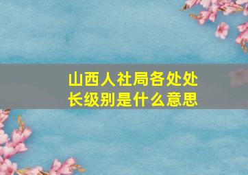 山西人社局各处处长级别是什么意思