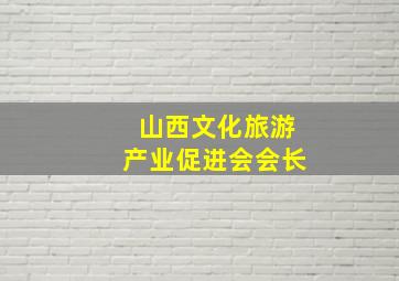 山西文化旅游产业促进会会长