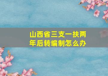 山西省三支一扶两年后转编制怎么办