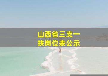 山西省三支一扶岗位表公示