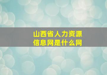 山西省人力资源信息网是什么网