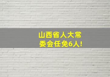 山西省人大常委会任免6人!