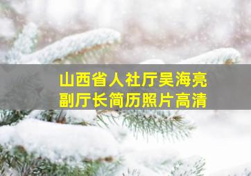 山西省人社厅吴海亮副厅长简历照片高清