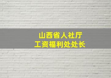 山西省人社厅工资福利处处长