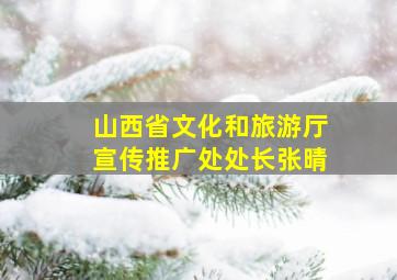 山西省文化和旅游厅宣传推广处处长张晴