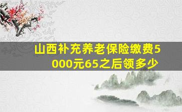 山西补充养老保险缴费5000元65之后领多少