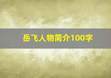 岳飞人物简介100字