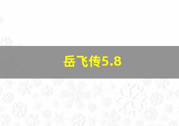 岳飞传5.8