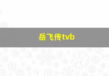 岳飞传tvb