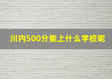 川内500分能上什么学校呢