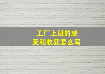 工厂上班的感受和收获怎么写