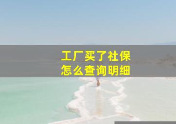 工厂买了社保怎么查询明细