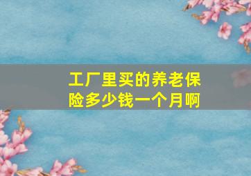 工厂里买的养老保险多少钱一个月啊