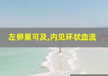 左卵巢可及,内见环状血流