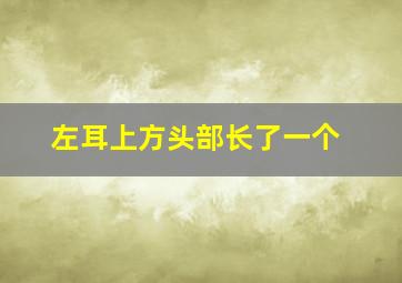 左耳上方头部长了一个