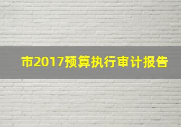 市2017预算执行审计报告