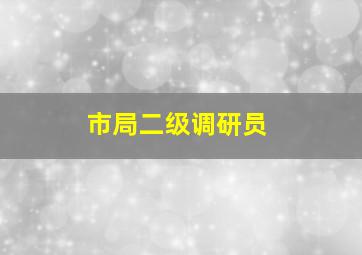 市局二级调研员