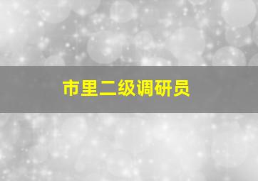 市里二级调研员