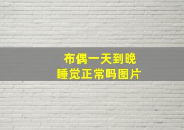 布偶一天到晚睡觉正常吗图片