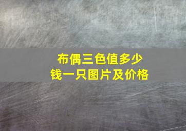 布偶三色值多少钱一只图片及价格